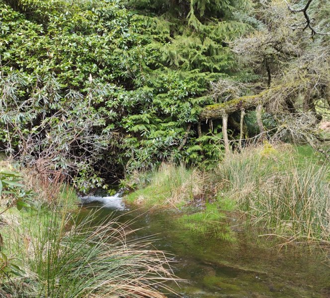 mucklagh brook