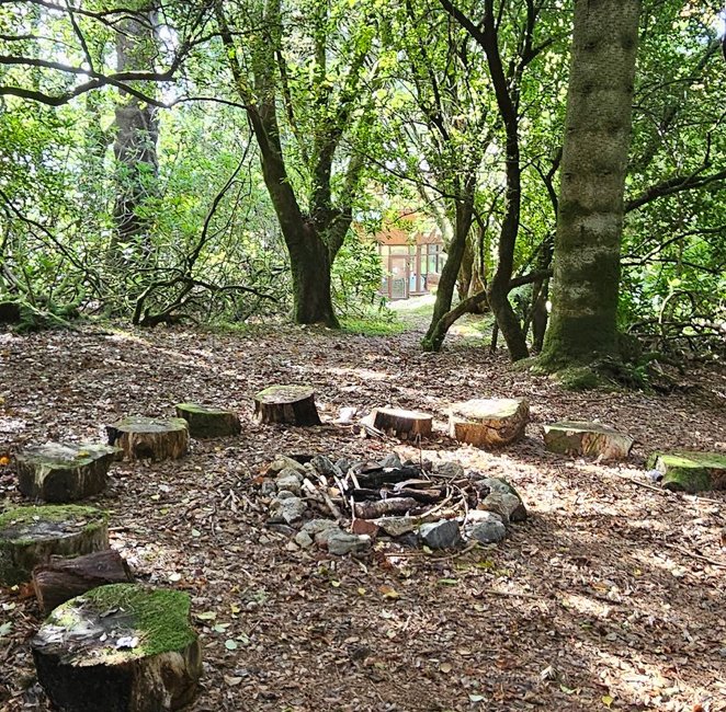 the grounds