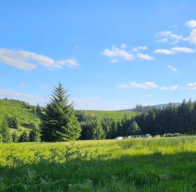 wicklow